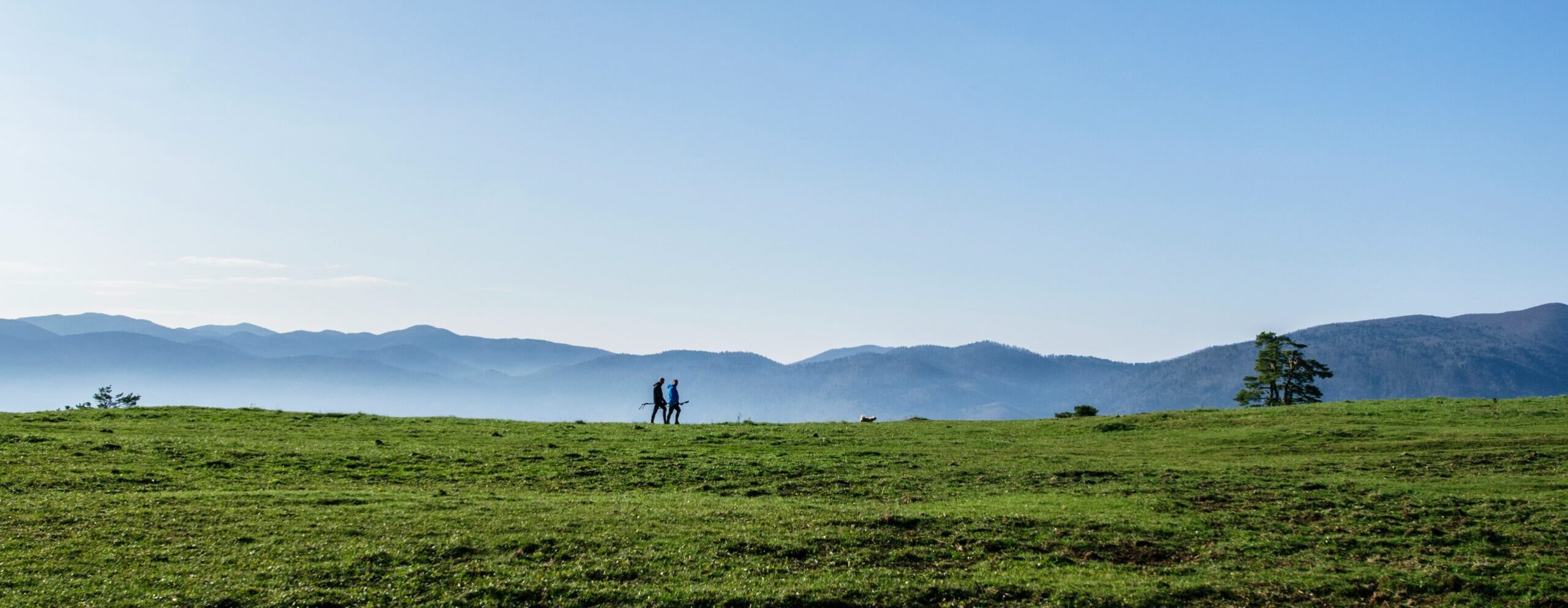 ales-krivec-C1o3OSfvHc0-unsplash